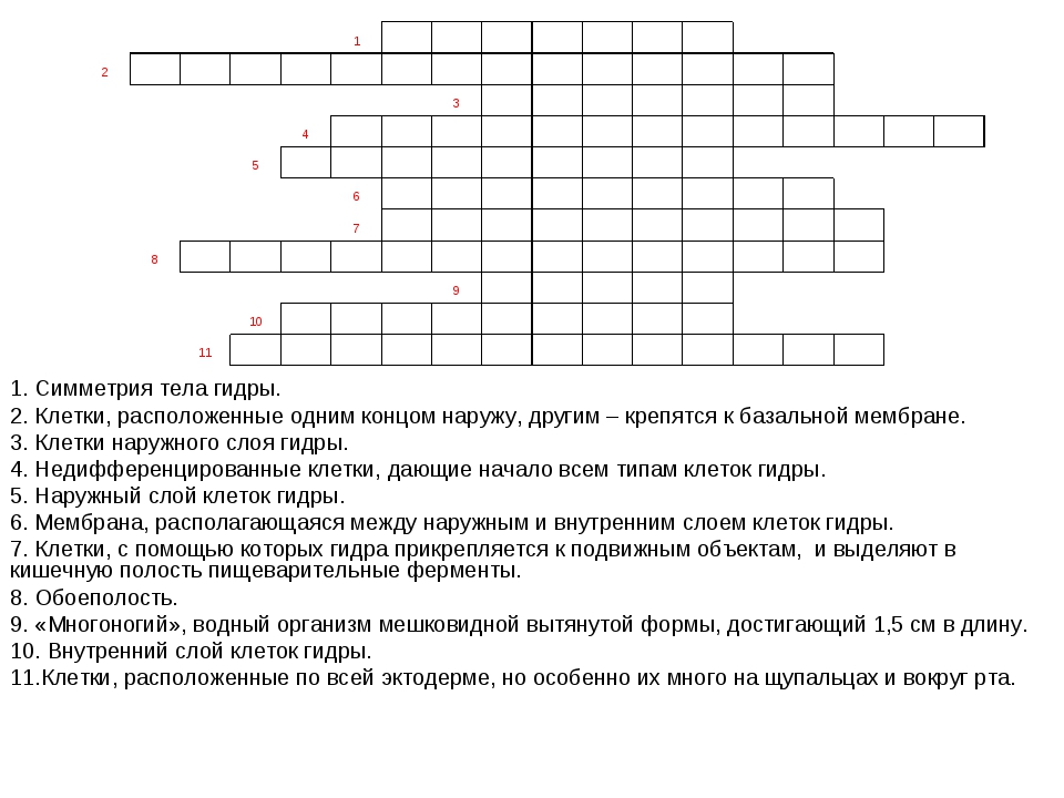 Дарк нет кракен